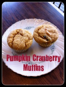 Pumpkin Cranberry Muffin Recipe and Thanksgiving Books