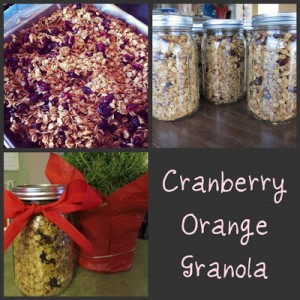 Photo Collage :: 12/21/2012 Granola & Birdseed