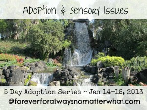 Adoption and Sensory Issues