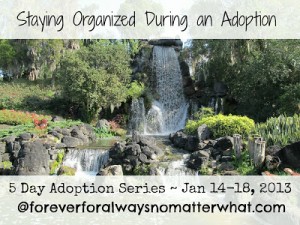 Staying Organized During an Adoption