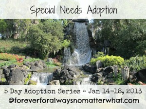 Special Needs Adoption