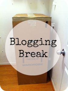 Blogging Break