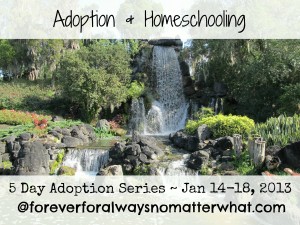 Adoption & Homeschooling