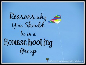 Reasons why You SHOULD be in a Homeschooling Group