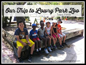 Lowry Park Zoo – Tampa, Florida