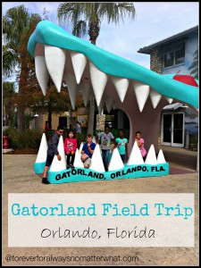 Gatorland, Florida I Forever, For Always