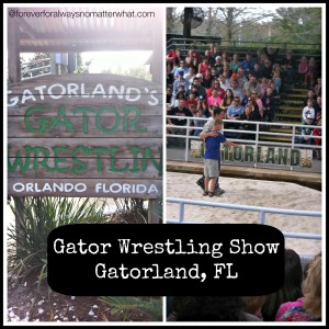 Gatorland Field Trip – Orlando, Florida