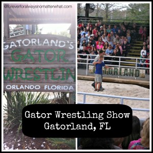 Gatorland - Orlando, Florida I Forever, For Always