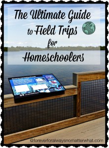 Ultimate Guide to Field Trips for Homeschoolers