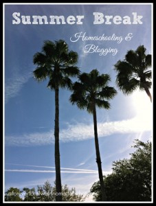 Summer Break: Homeschooling & Blogging