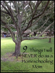9 Things will Never do as a Homeschooling Mom