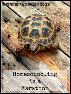 Homeschooling is a Marathon