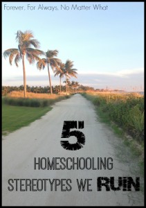 5 Homeschooling Stereotypes we Ruin