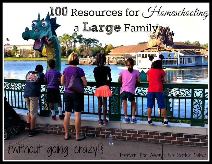 100 Resources for Homeschooling a Large Family