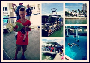 Clearwater Aquarium