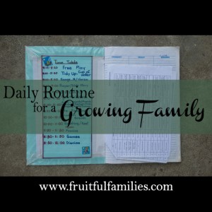 Daily Routine in a Growing Family