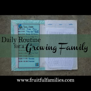 Daily Routine in a Growing Family