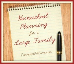 Homeschool Planning for a Large Family