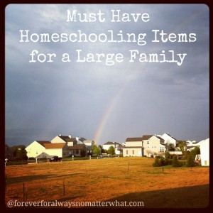 Must Have Items for the Large Homeschooling Family
