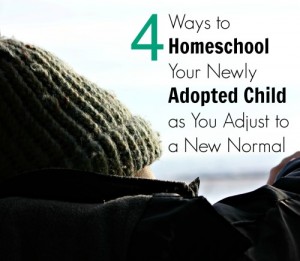 4 Ways to Homeschool Your Newly Adopted Child