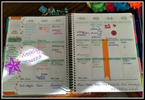 Erin Condren Life Planner