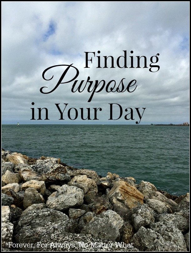 Finding Purpose in Your Day