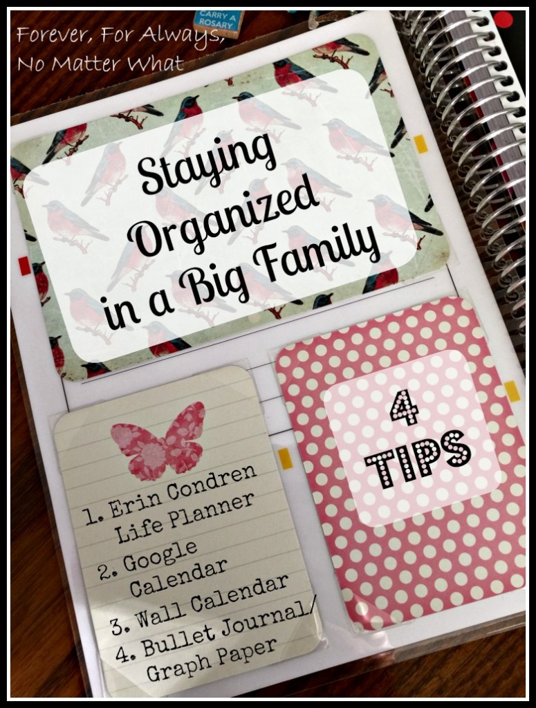 Staying Organized in a Big Family Large Family Organizing