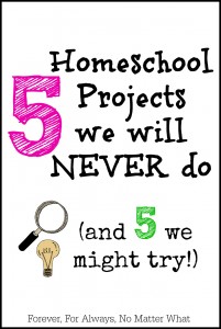 5 Homeschool Projects We Will Never Do (and 5 we might try!)