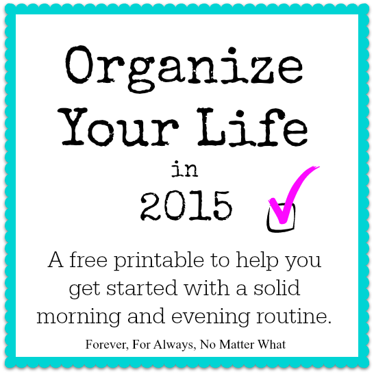 Organize Life 2015 - morning and evening routines