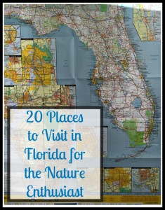 20 Places to Visit in Florida for the Nature Enthusiast
