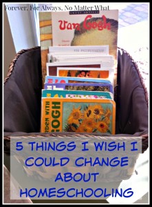 5 Things I Wish I Could Change About Homeschooling