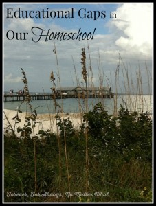 Learning Gaps in Our Homeschool