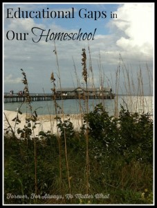 Educational Gaps in Our Homeschool