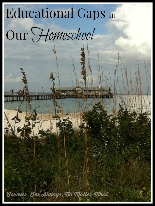 Educational Gaps in Our Homeschool 