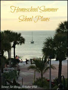 Homeschool Summer School Plans