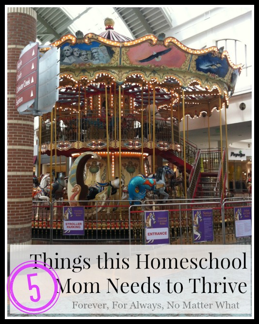 5 Things this Homeschool Mom Needs to Thrive