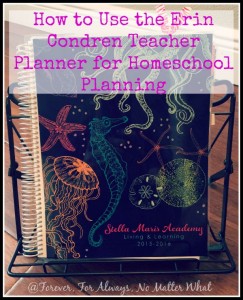 Erin Condren Teacher Planner for Homeschool Planning
