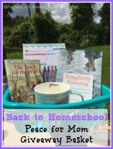 Peace for Mom Giveaway Basket
