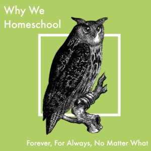 Why We Homeschool