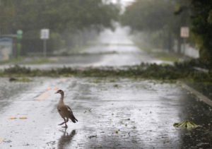 Hurricane Irma in Our Homeschool