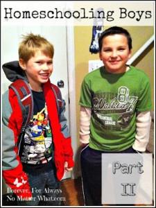 Homeschooling Boys :: Part II