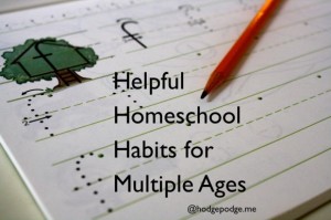 Helpful Habits for the Homeschooling Family