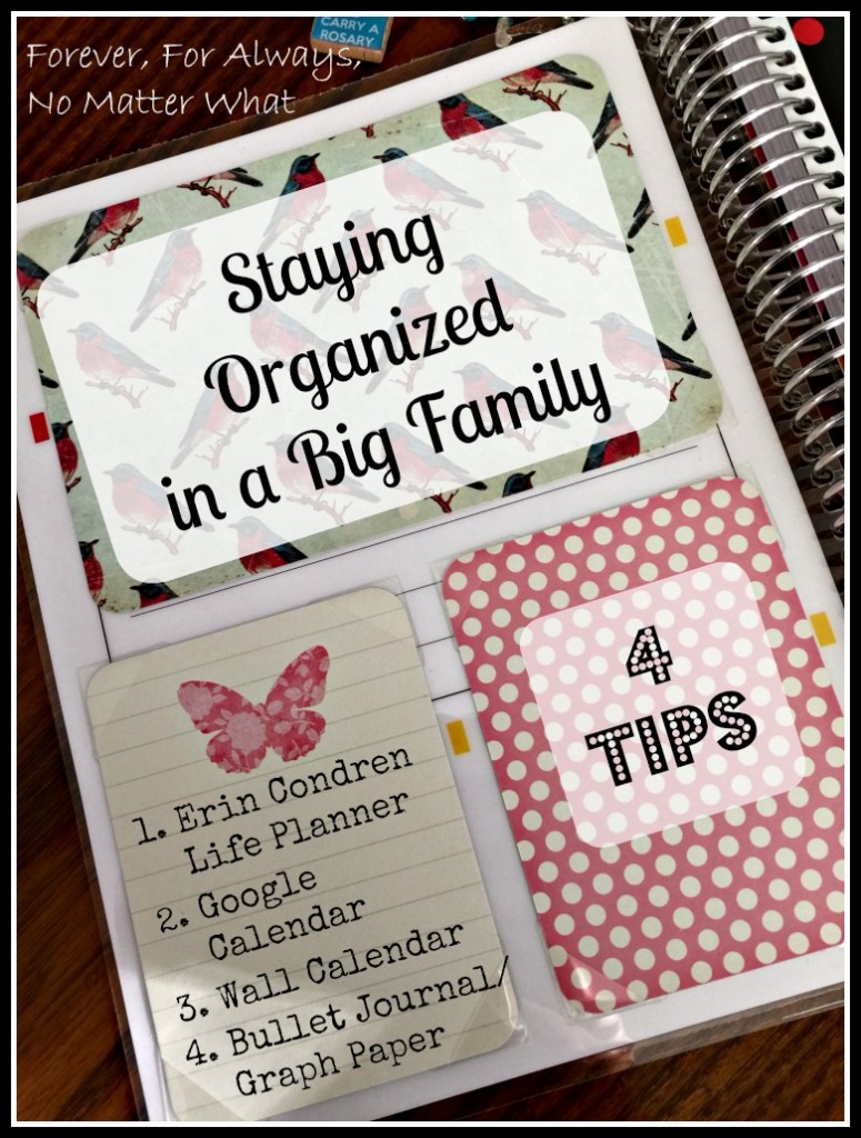 Staying Organized in a Big Family Large Family Organizing