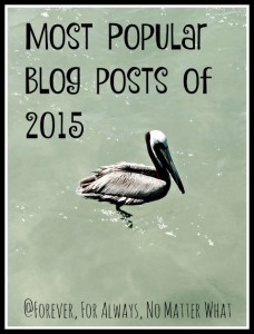 Most Popular Posts of 2015
